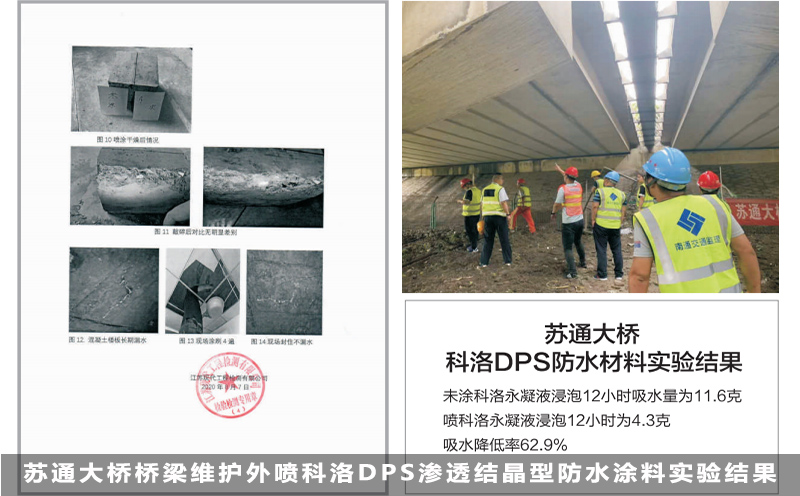 苏通大桥桥梁维护外喷科洛DPS渗透结晶型防水涂料实验结果a 苏通大桥桥梁维护外喷科洛DPS渗透结晶型防水涂料实验结果a